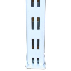 COLUMNA BLANCA COLUMNA BLANCA
